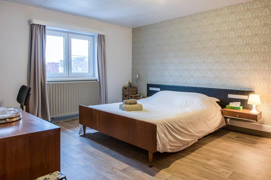 Vakantiewoning In Mol Centrum Met Eigen Bar "Casacuriosa" Exterior foto